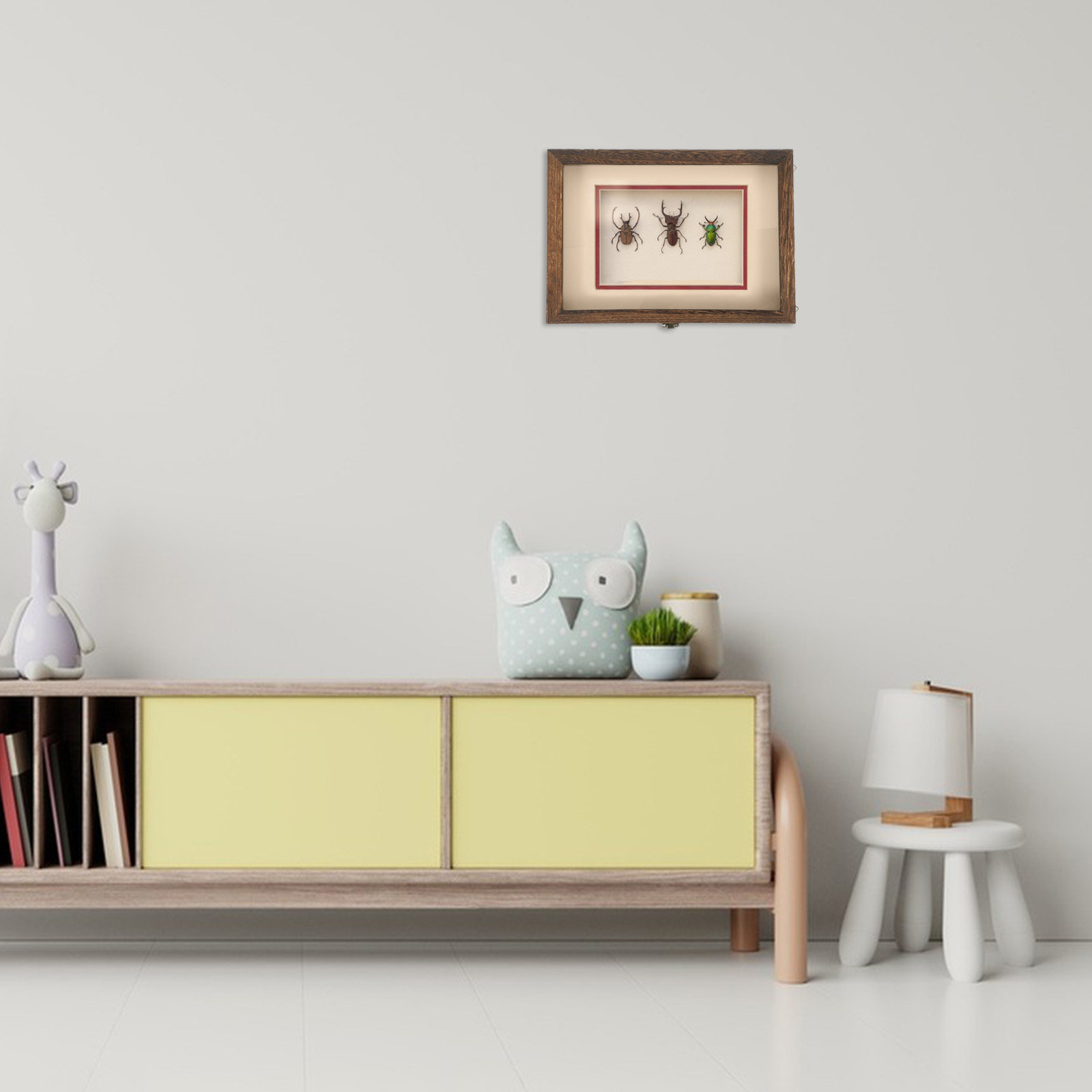 مجموعة واحدة من علبة عرض الحشر - مراجعة Frame Display Wood وسعره