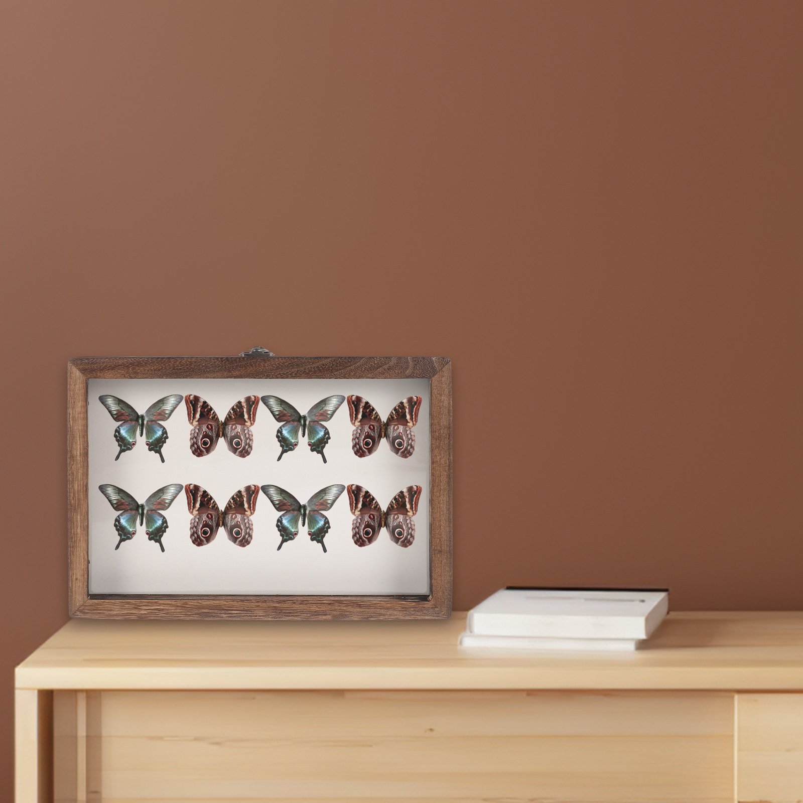 مجموعة واحدة من علبة عرض الحشر - مراجعة Frame Display Wood وسعره