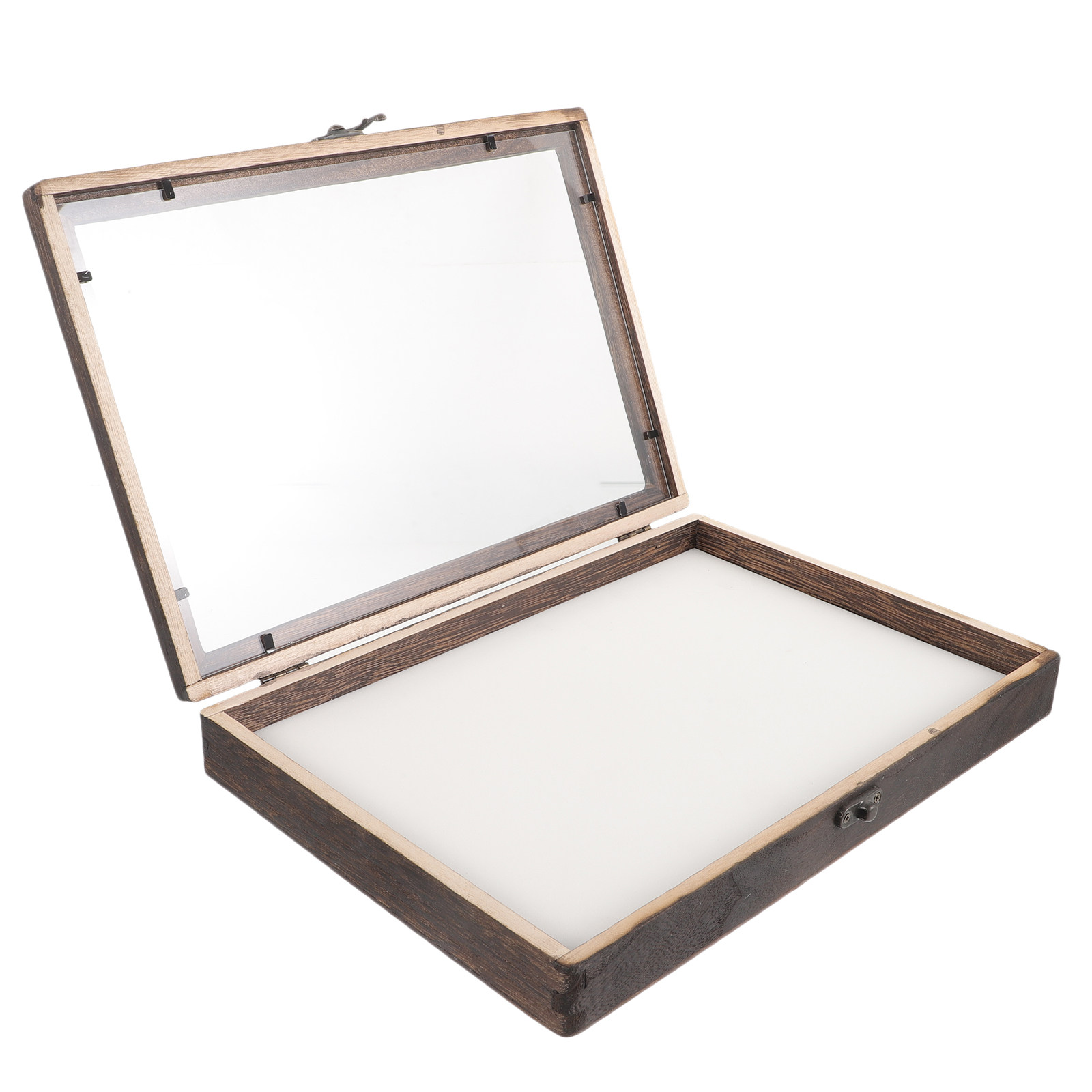 مجموعة واحدة من علبة عرض الحشر - مراجعة Frame Display Wood وسعره