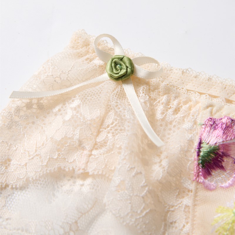 ملابس داخلية نسائية مثيرة من ا - مراجعة Embroidery Lace وسعره