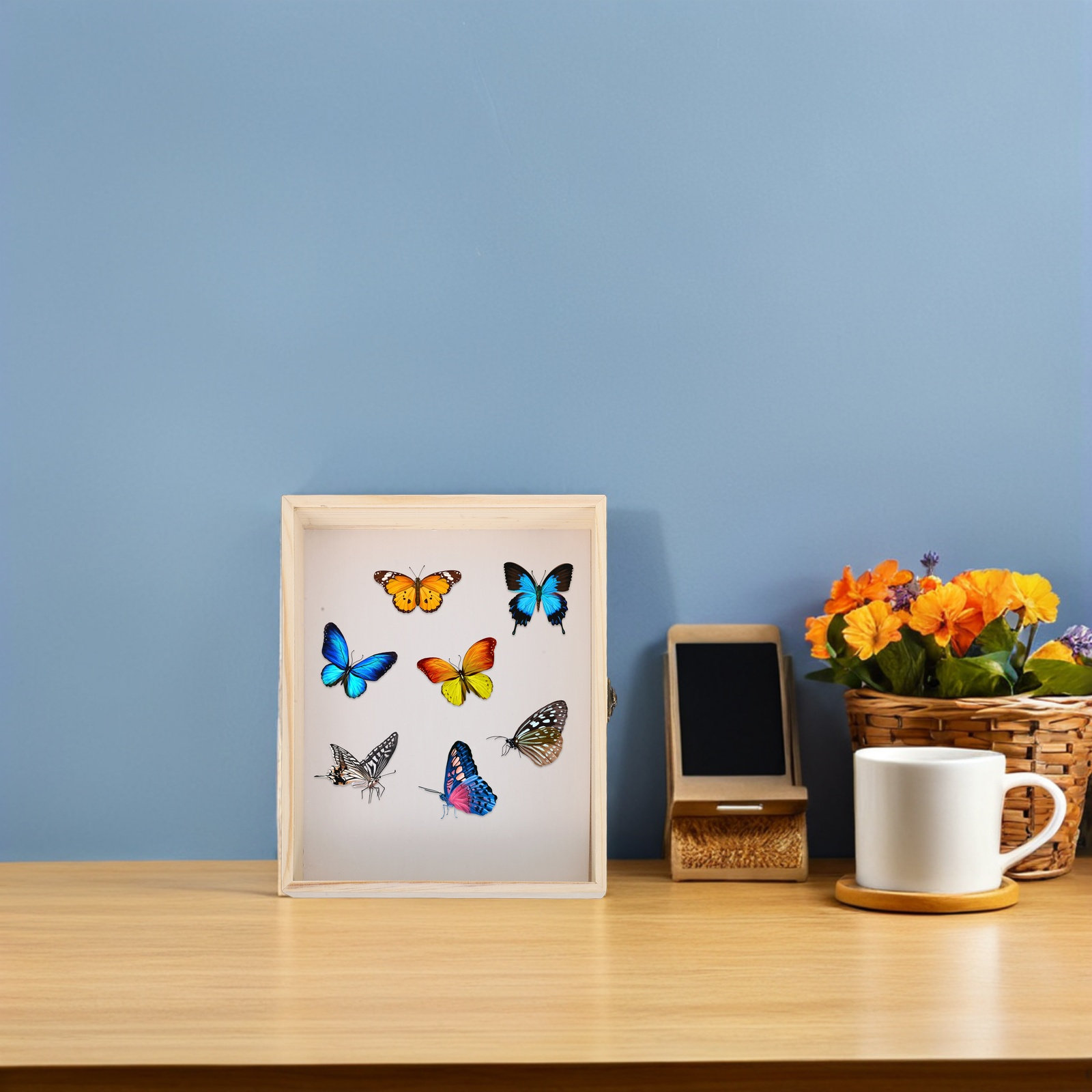 صندوق عرض عينات الحشرات من الخ - مراجعة Frame Display Wood وسعره