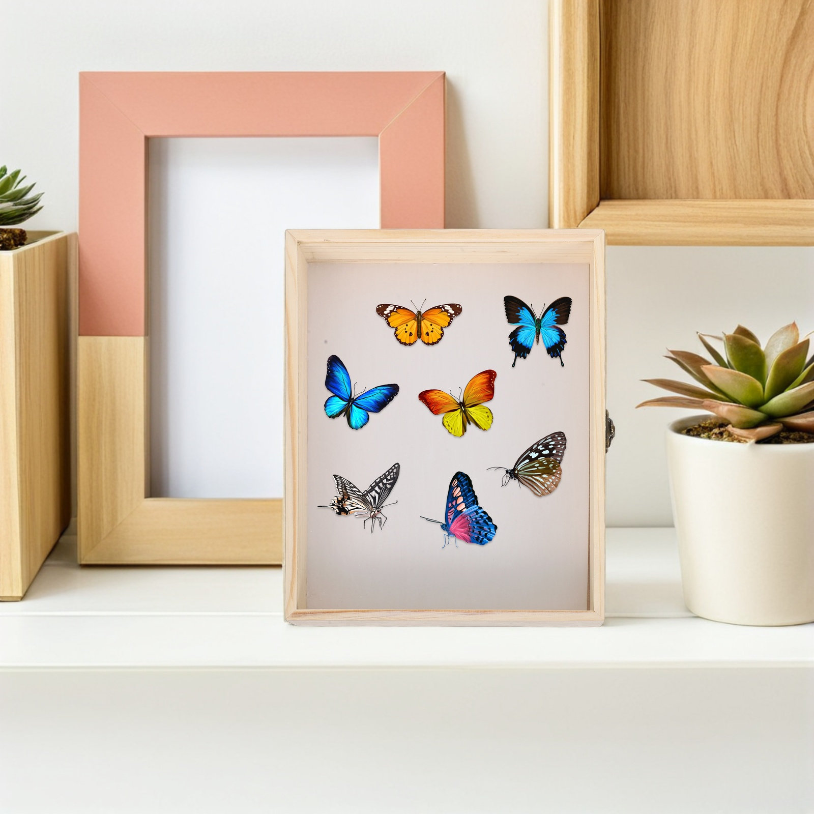 صندوق عرض عينات الحشرات من الخ - مراجعة Frame Display Wood وسعره